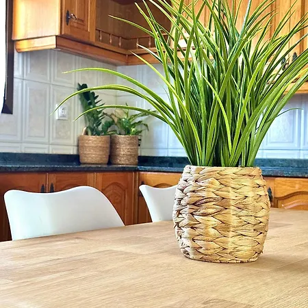 Serena * ベニカルロ