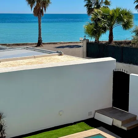 Serena ベニカルロ